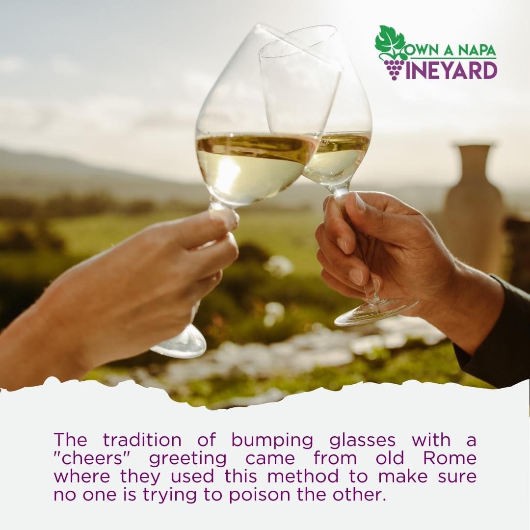 wine